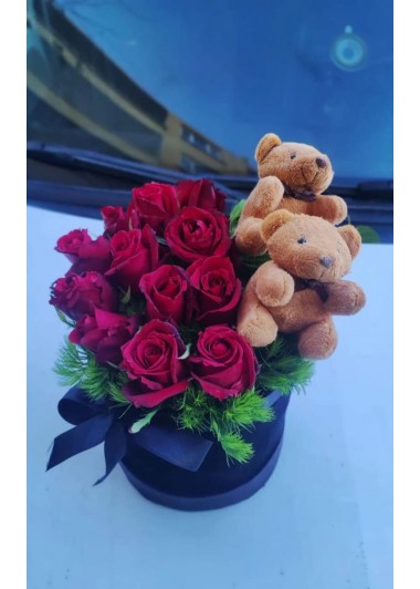 kutugül ayıcıklar